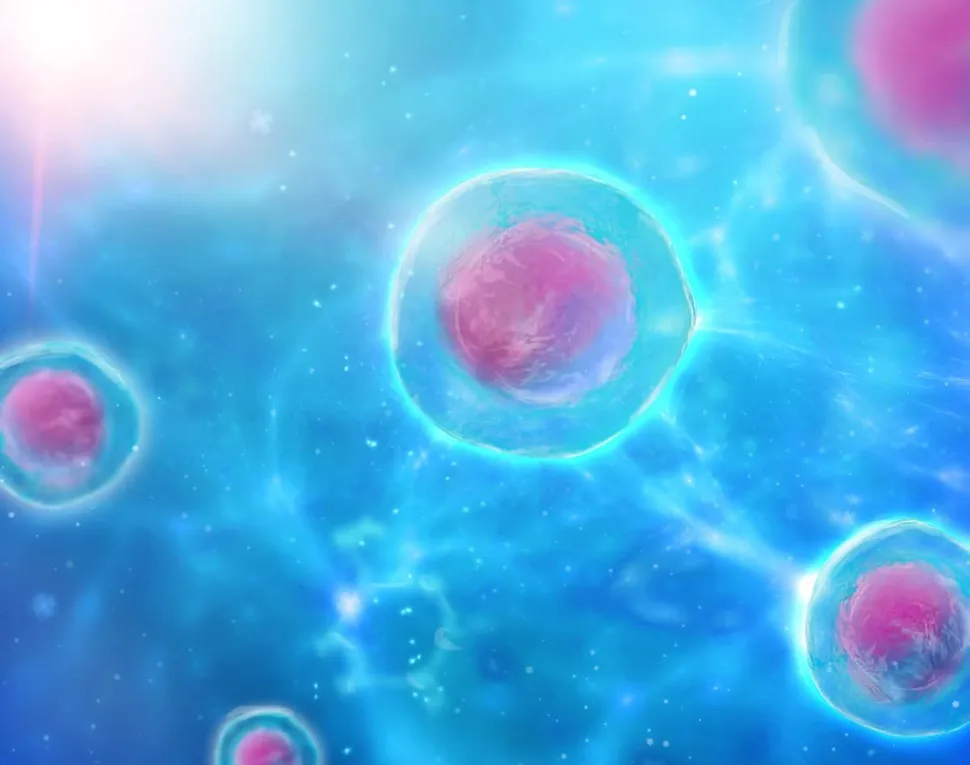New Blood-Based Circulating Multiple Myeloma Cells Test Launched for Research Purposes image