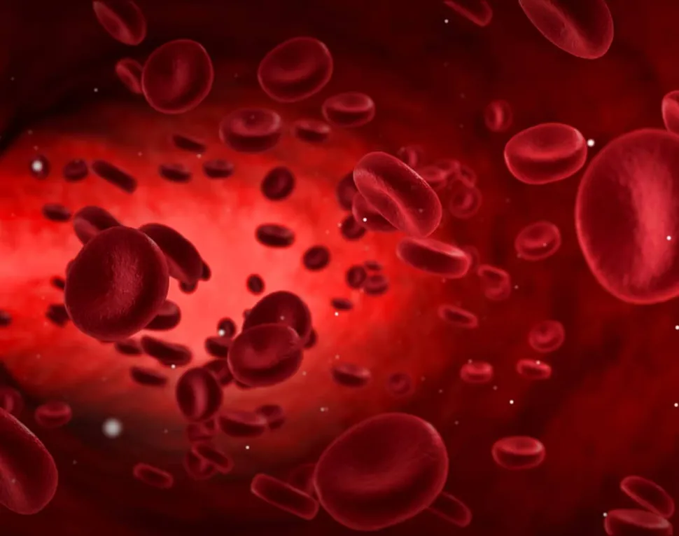 ASH 2021: Using Circulating Tumor Cells in the Blood to Track Precursor and Active Myeloma Conditions image