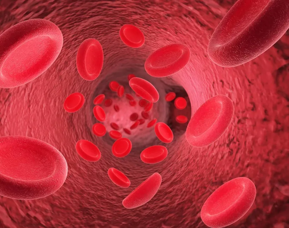 TMA, a Rare Complication of Stem Cell Transplants image