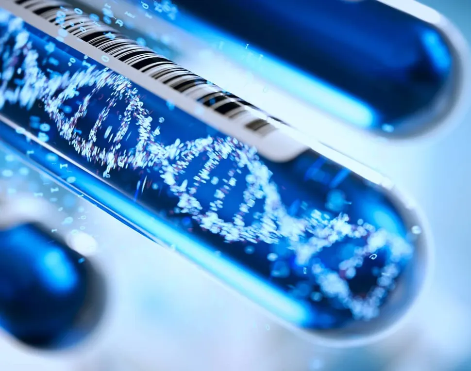 What is Genetic Testing in Myeloma and Why Do it? image