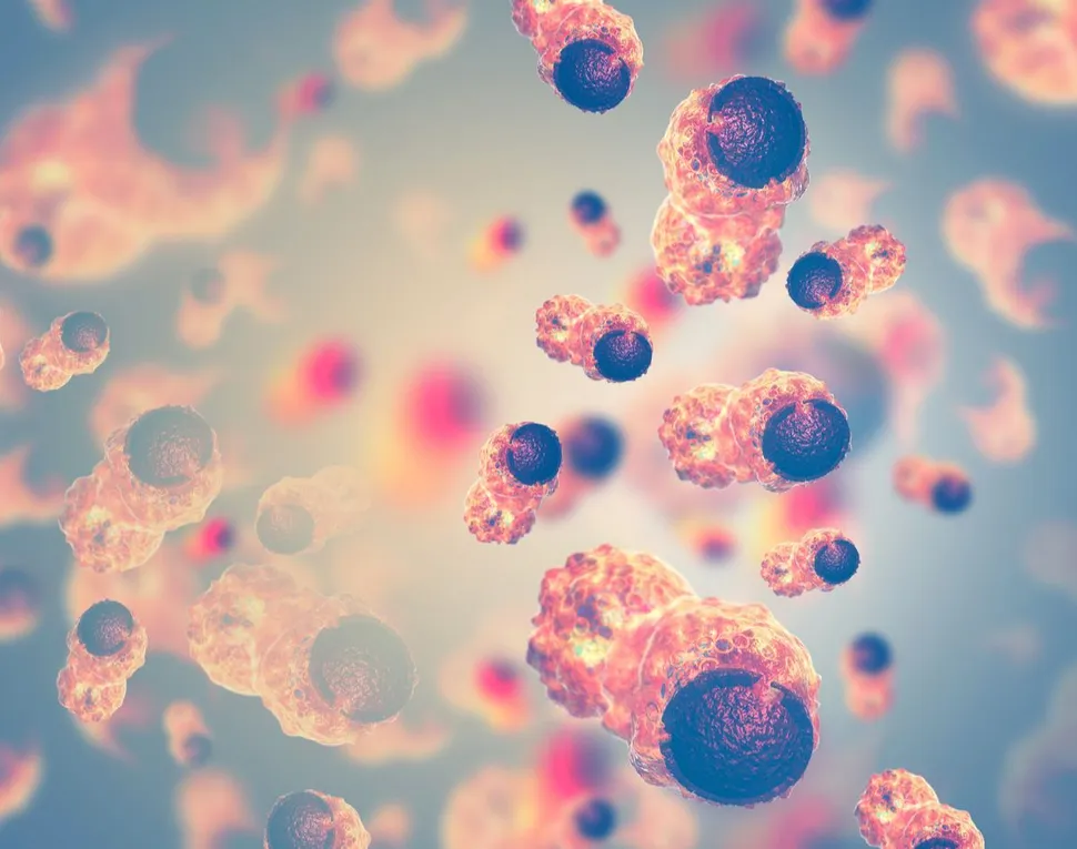 HealthTree University: Multiple Myeloma Basics Part 1 (2 of 3) image