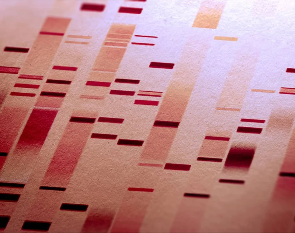 MCRT Webcast: Myeloma Genetics with Three Experts image