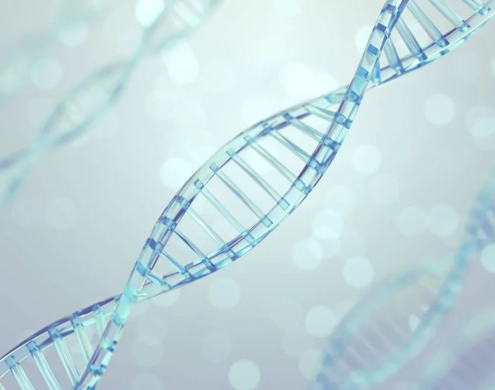 Interfering with a Specific Gene (IRF4) to Treat Multiple Myeloma image