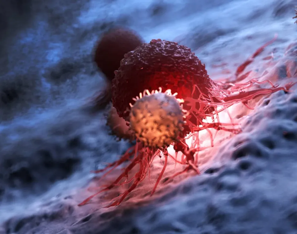 FDA Grants Priority Review for Ide-Cel CAR T Therapy image