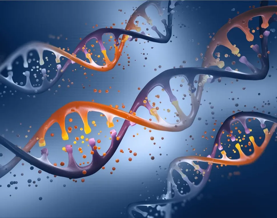 How does Genetic Testing Help Assess Risk? What is the Definition of High-Risk Multiple Myeloma? image