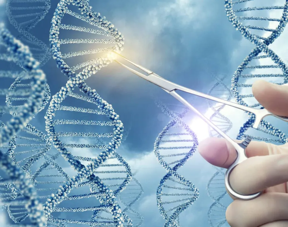 A Potential Warning Sign for Allo CAR T in Multiple Myeloma image