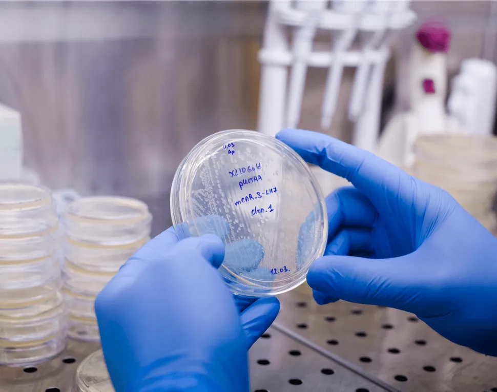 Don't Miss this: Getting to Know the Abecma (ide-cel) CAR T Therapy MC Community Event image