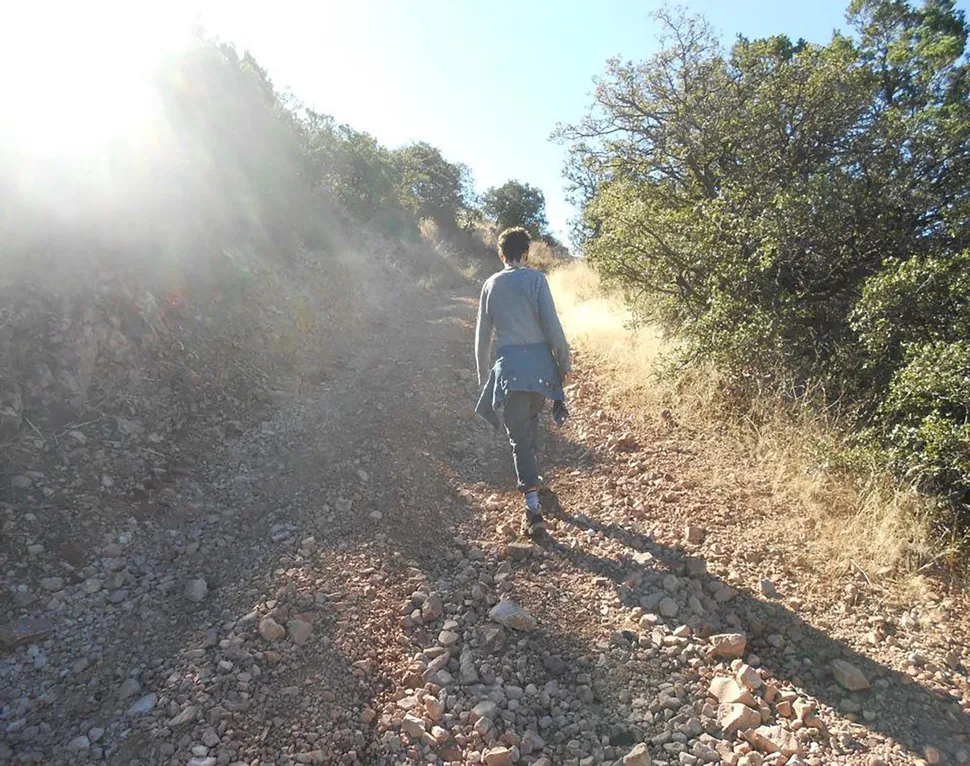 La crisis de los opioides y sus víctimas inesperadas image