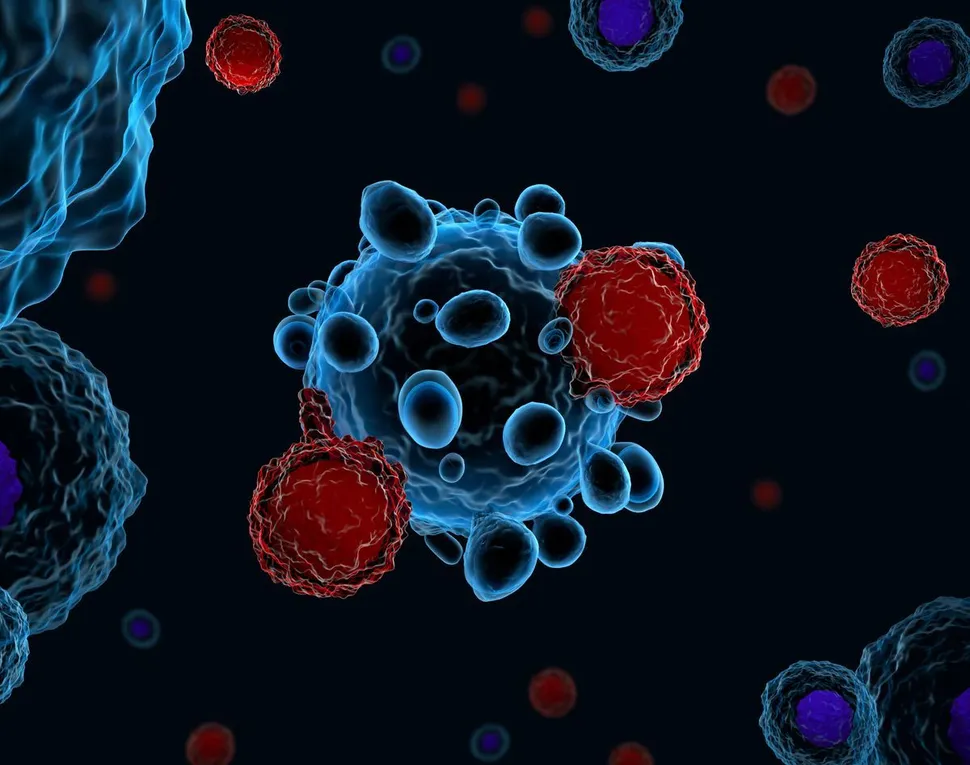 Progress on Another CAR -T for Multiple Myeloma! image