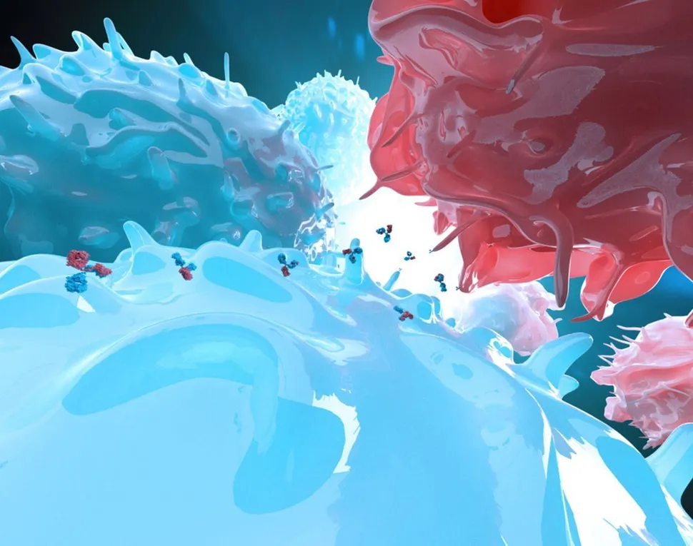 Otro Anticuerpo con doble especificidad para el Tratamiento del Mieloma Múltiple image