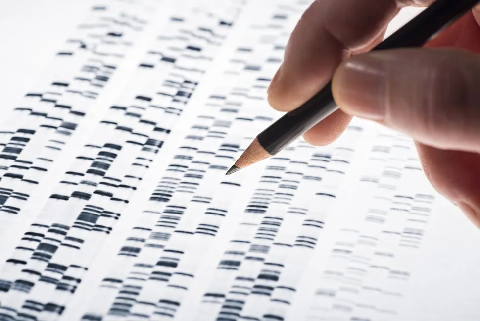Mutaciones genéticas familiares relacionadas con el riesgo de mieloma múltiple image