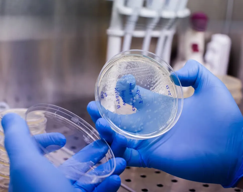 ASH 2020: The State of Myeloma Drug Development Remains Strong as CAR T Races On image