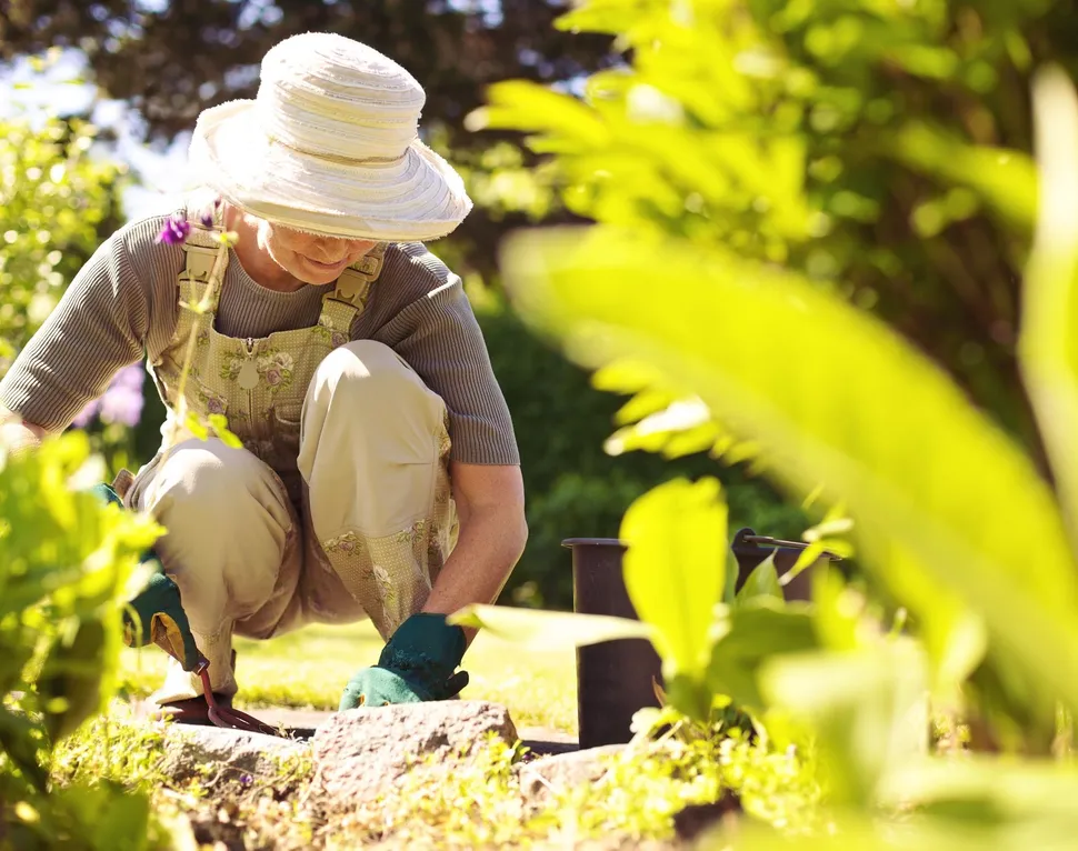 Músculos para el mieloma: Mantenerse activo practicando sus pasatiempos image