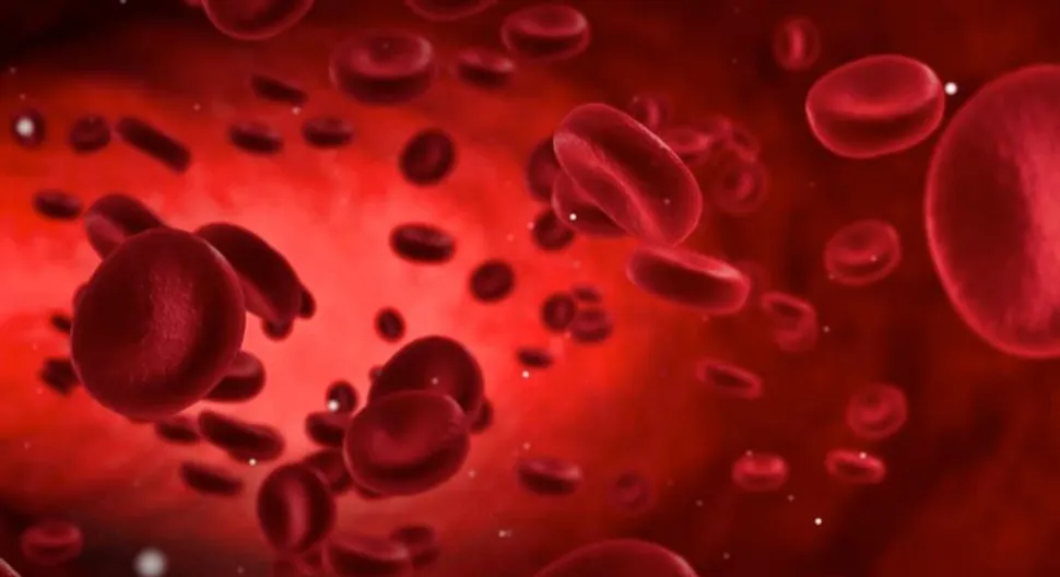 ASH 2021: Uso de las células tumorales circulantes en la sangre para el seguimiento de enfermedades precursoras y activas del mieloma image
