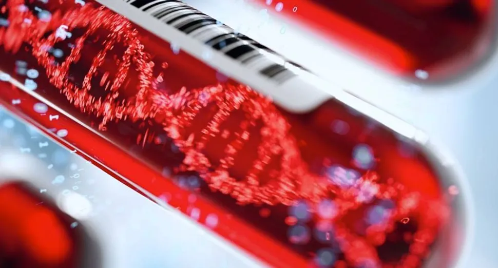 ¿Qué es la prueba EMR? image