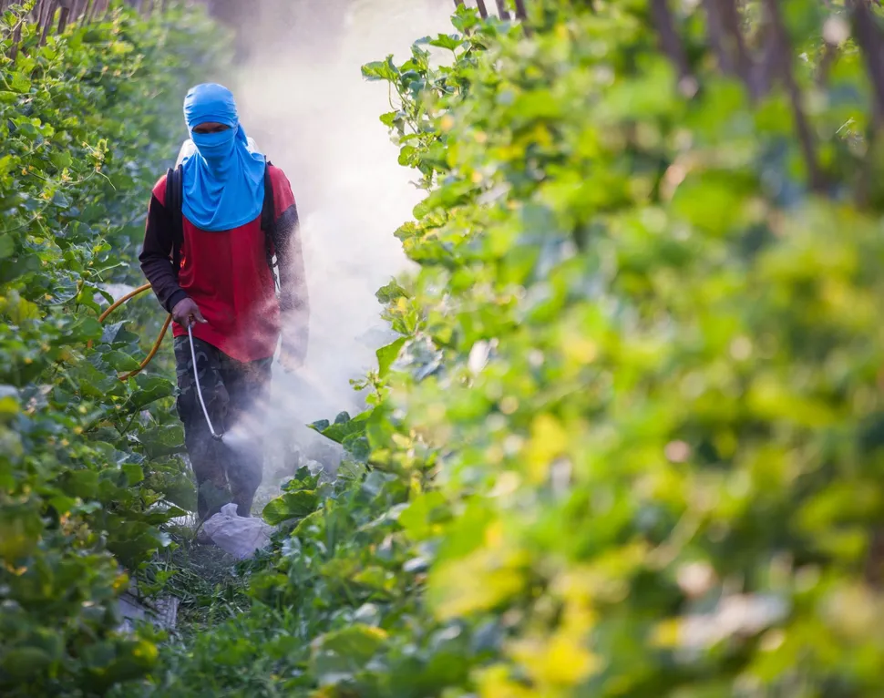 Cambios en la sangre en el Mieloma Múltiple después de la exposición a pesticidas image