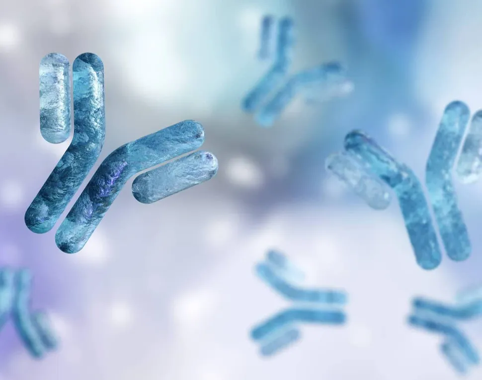 The Regeneron Bispecific Antibody for Multiple Myeloma image