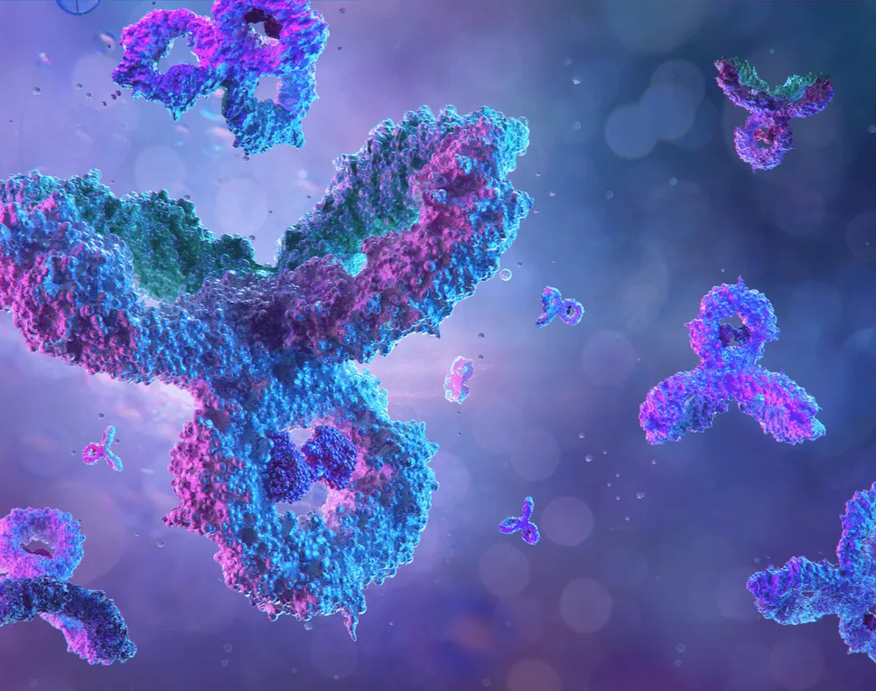 FDA grants Fast Track Review to Tri-Specific Antibody HPN217 to treat Relapsed/Refractory Myeloma image